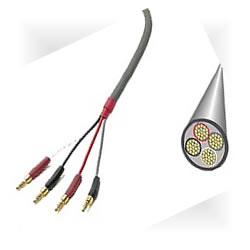StraightWire Chorus Bi-wired Speaker Cables